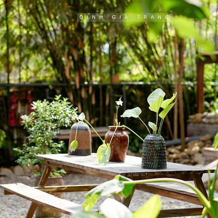 Dinh Gia Trang - Homestay & Coffee The Ruong Exteriér fotografie