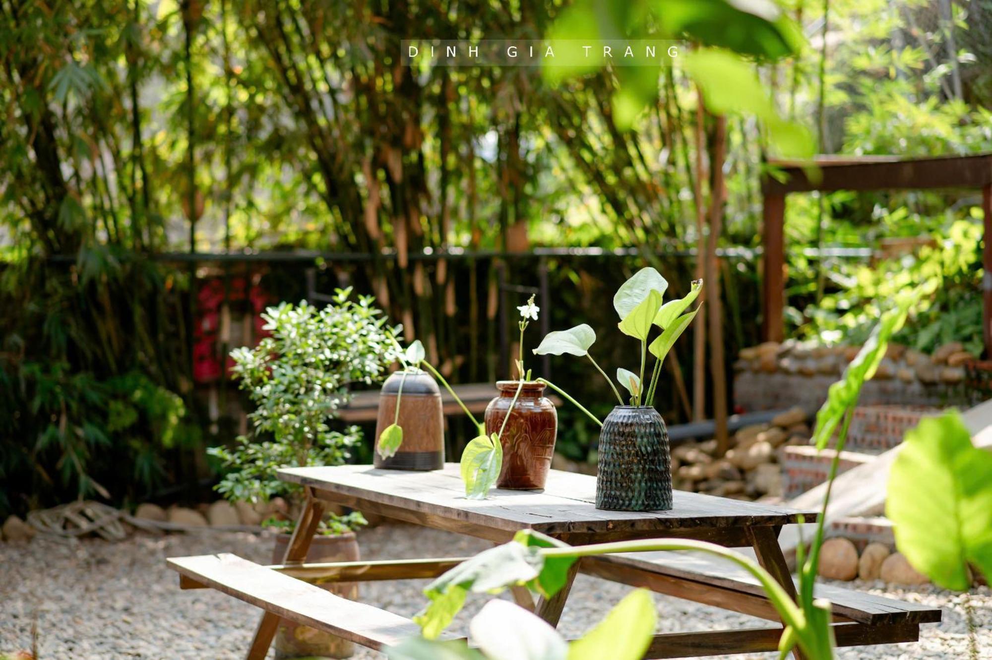 Dinh Gia Trang - Homestay & Coffee The Ruong Exteriér fotografie