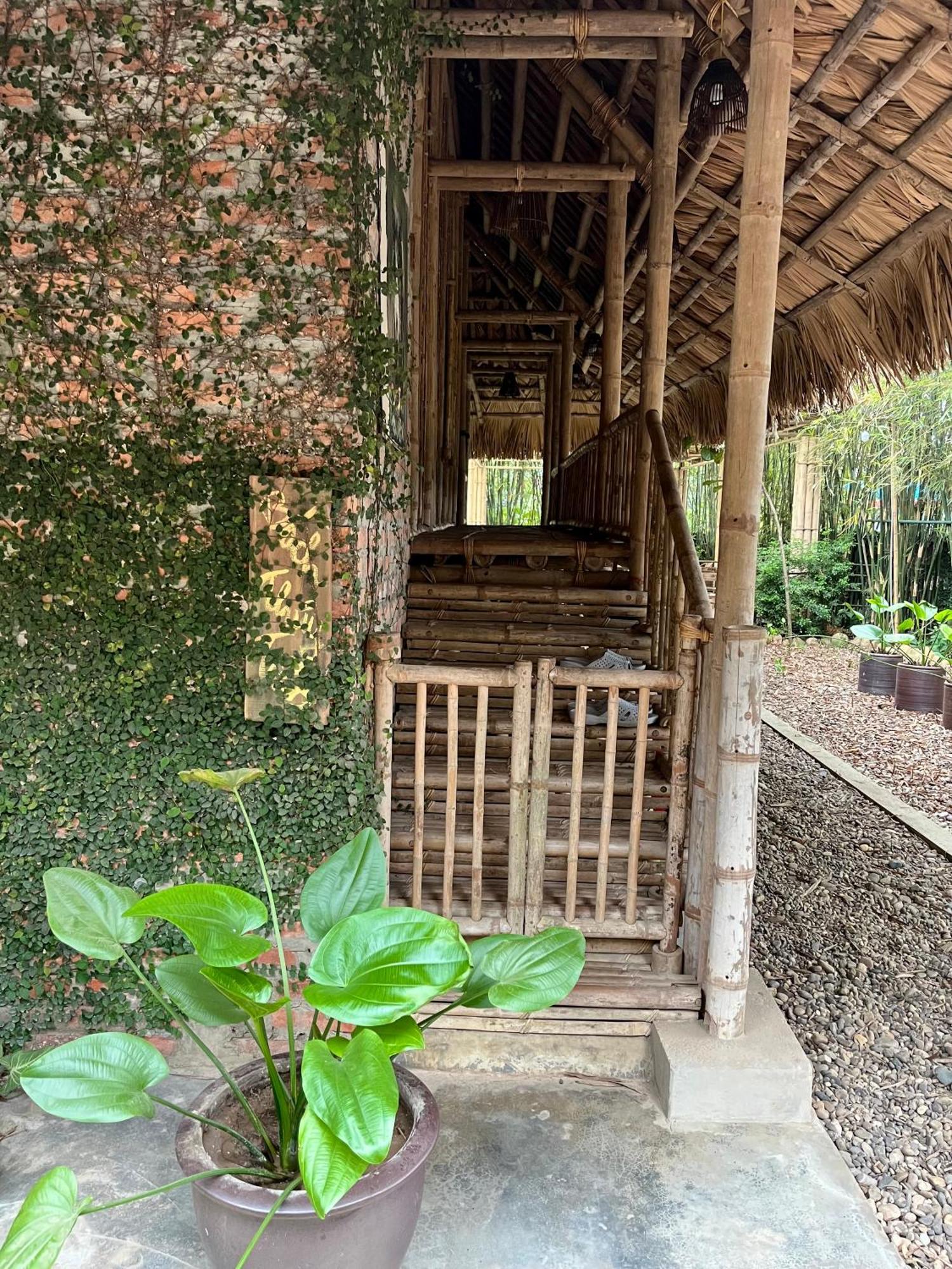 Dinh Gia Trang - Homestay & Coffee The Ruong Exteriér fotografie
