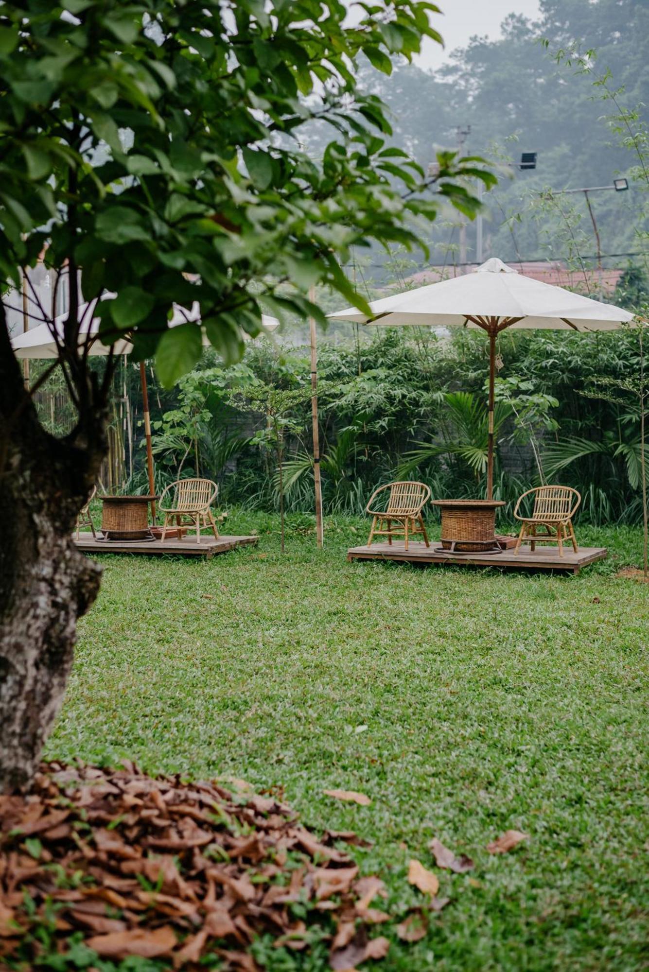 Dinh Gia Trang - Homestay & Coffee The Ruong Exteriér fotografie